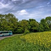 Setra S215 UL #110