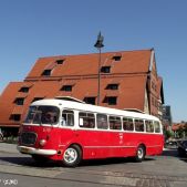 Jelcz 043 #678