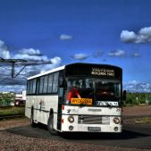 Volvo B9M #29