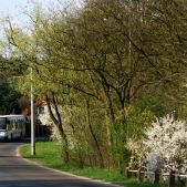 Irisbus Citelis 12M #B761