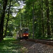 Konstal 805Na #271+272