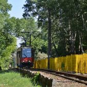 Konstal 805Na #231
