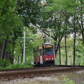Konstal 805Na #273