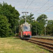Konstal 805Na #275