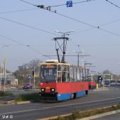 Konstal 805Na #295