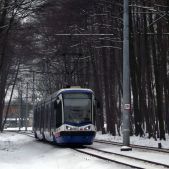 PESA 122N #365