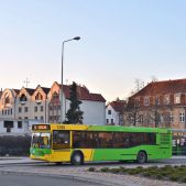 MAZ 103.465 #1390