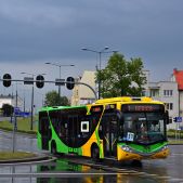 AMZ CS12LF #705