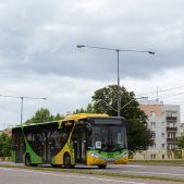 AMZ CS12LF #702