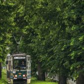 Konstal 805Na #048
