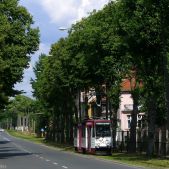 Konstal 805Na #043