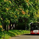 Solaris Urbino 12 #531
