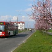 MAN NL202 #582