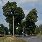 Wegmann 6EGTW #272