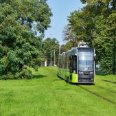 Pesa 2015N #304