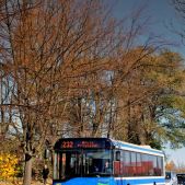Solaris Urbino 12 #BU807