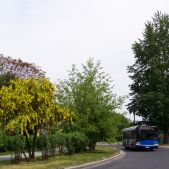 Solaris Urbino 12 #BU805