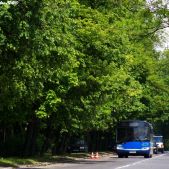 Solaris Urbino 12 #BU814
