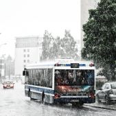 Solaris Urbino 12 #BU817