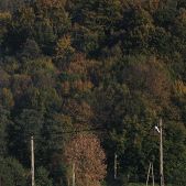 Solaris Urbino 12 #BU844