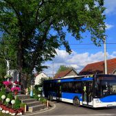 Solaris Urbino 12 #BU895