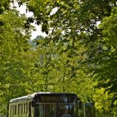Solaris Urbino 12 #BU875