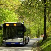 Solaris Urbino 12 #DU306