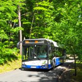 Solaris Urbino 12 IV #DU306