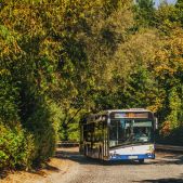 Solaris Urbino 12 #DU302