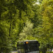 Solaris Urbino 12 #DU304