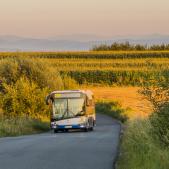 Solaris Urbino 12 #DU302
