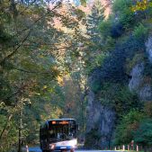 Solaris Urbino 12 #DU303
