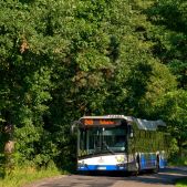 Solaris Urbino 12 #DU321