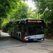 Solaris Urbino 12 #DU301