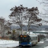 Solaris Urbino 12 #BU818