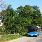 Solaris Urbino 12 #BU823