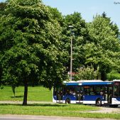Solaris Urbino 12 #PU972