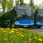 Solaris Urbino 12 #BU803