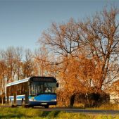 Solaris Urbino 12 #BU817