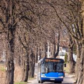 Solaris Urbino 12 #BU830