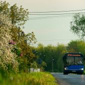 Solaris Urbino 12 #BU843