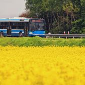 Solaris Urbino 12 #BU867