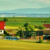 Solaris Urbino 12 #BU892