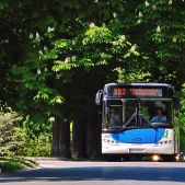 Solaris Urbino 12 #BU892