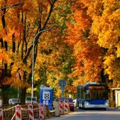 Solaris Urbino 12 #BU895