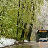 Solaris Urbino 12 #DU305