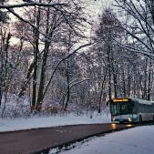 Solaris Urbino 12 #DU303