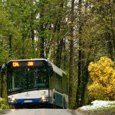 Solaris Urbino 12 #DU304