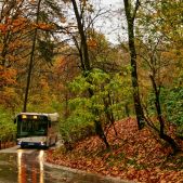 Solaris Urbino 12 #DU305