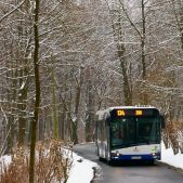 Solaris Urbino 12 #DU305
